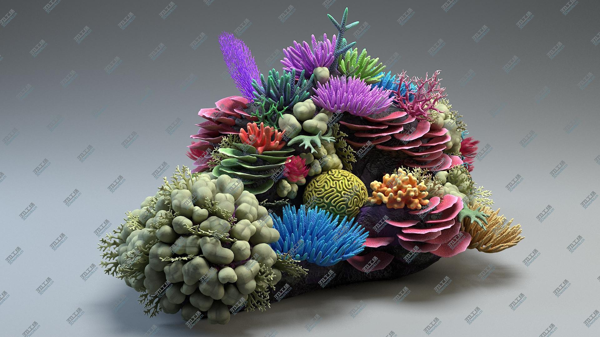 images/goods_img/202104022/Coral Reef 01 3D/5.jpg